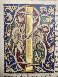 A decorative illuminated manuscript page featuring a gold vertical bar in the center with two stylized, spotted leopards or similar large cats intertwined around it. The background is divided into red and green sections, with intricate gold and blue floral and vine motifs surrounding the animals and the central gold bar.
