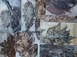 A collage of eco printed leaves