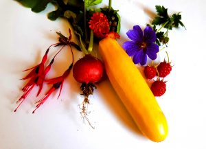 A photograph of an assortment of fruits, vegetables and some flowers, including a banana, raspberries and a beetroot.