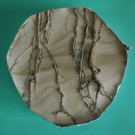 A plaster cast of roots on turquoise background.